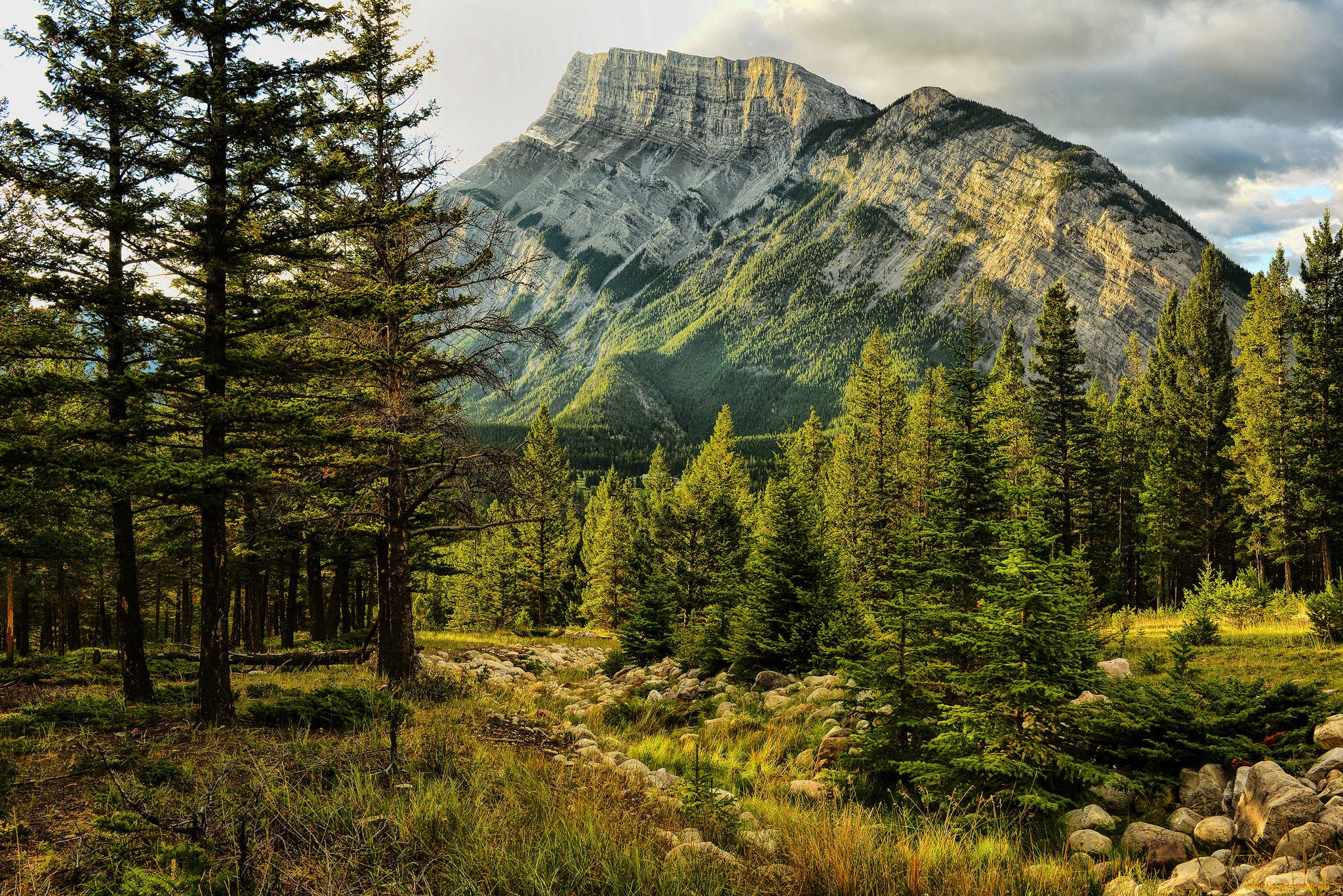 Лес горы слились все. Тайга Канады. Национальный парк Банфф. Сосново-еловый лес Уральские горы. Таёжный лес в Канаде.